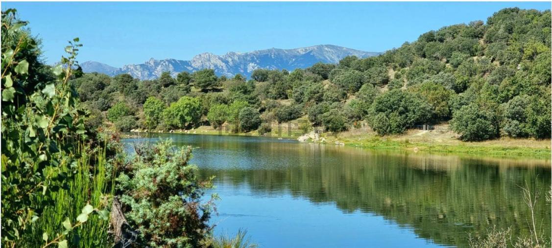 Entre Pinos Y Medusas Lägenhet Pedrezuela Exteriör bild