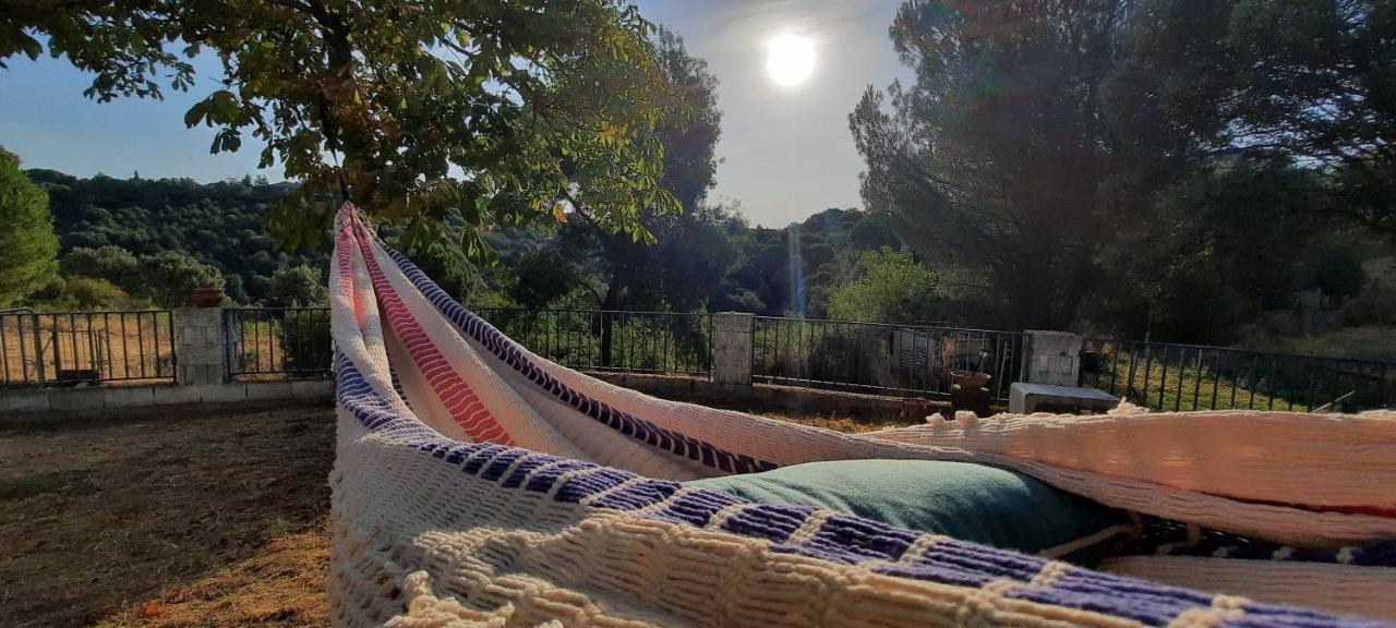 Entre Pinos Y Medusas Lägenhet Pedrezuela Exteriör bild