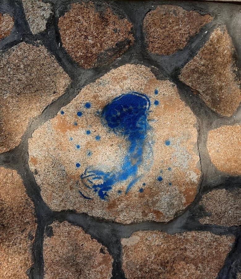 Entre Pinos Y Medusas Lägenhet Pedrezuela Exteriör bild